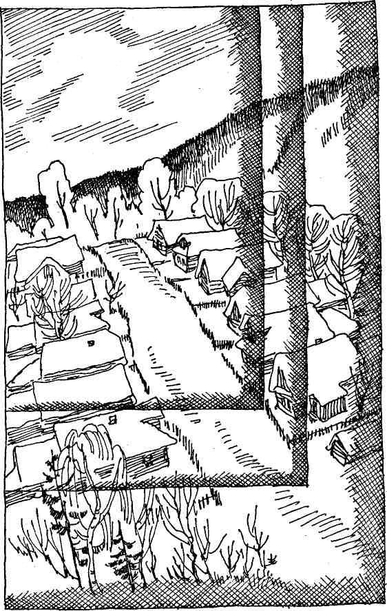 Софринский тарантас - _7.jpg