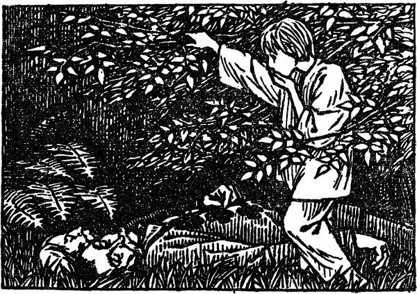 Библиотека мировой литературы для детей, т. 14 - i_007.jpg