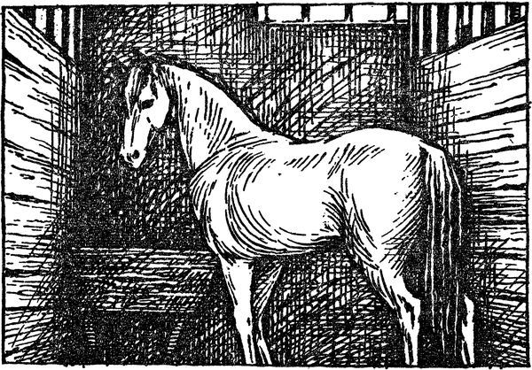 Библиотека мировой литературы для детей, т. 14 - i_020.jpg