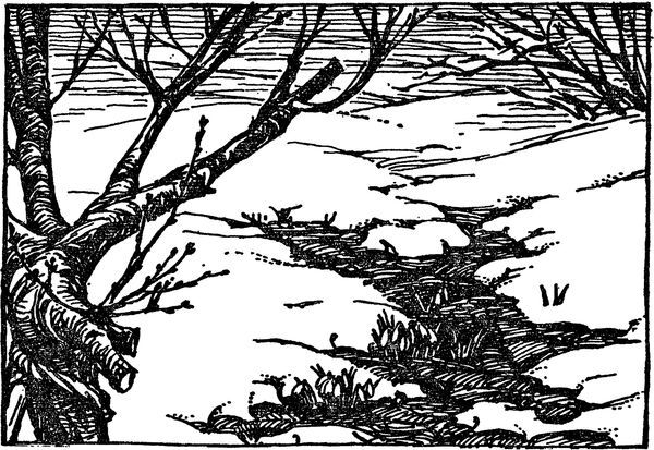 Библиотека мировой литературы для детей, т. 14 - i_028.jpg