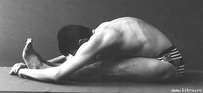 Йога. Искусство коммуникации (Издание второе, исправленное) - image101.jpg