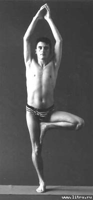 Йога. Искусство коммуникации (Издание второе, исправленное) - image102.jpg