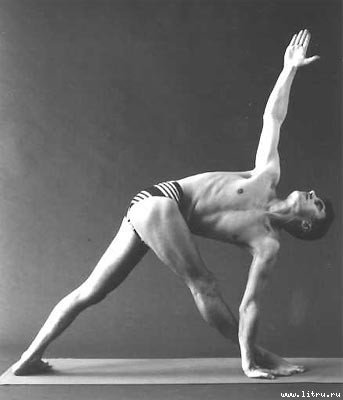 Йога. Искусство коммуникации (Издание второе, исправленное) - image105.jpg