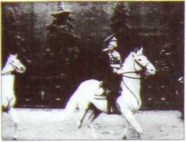 Исторические хроники с Николаем Сванидзе. Книга 2. 1934-1953 - i_099.jpg