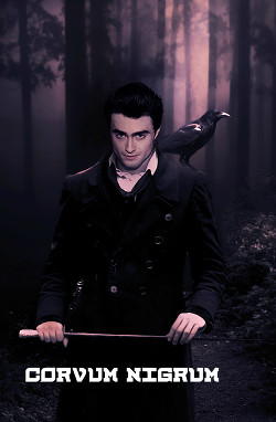 Книга Сorvum nigrum (СИ)