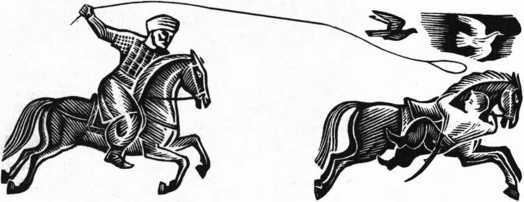 Загадки казацких характерников - i_039.jpg