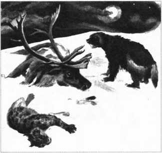 Загадки казацких характерников - i_060.jpg