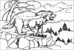 Загадки казацких характерников - i_062.jpg