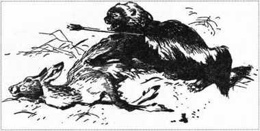 Загадки казацких характерников - i_063.jpg