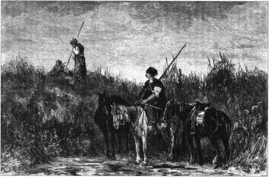 Загадки казацких характерников - i_065.jpg