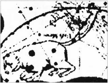 Загадки казацких характерников - i_073.jpg