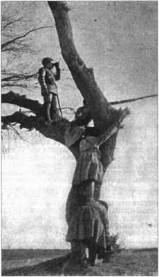 Загадки казацких характерников - i_198.jpg