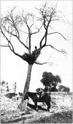 Загадки казацких характерников - i_214.jpg