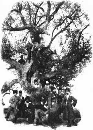 Загадки казацких характерников - i_218.jpg