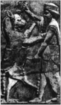 Загадки казацких характерников - i_368.jpg