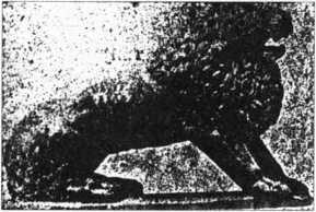 Загадки казацких характерников - i_384.jpg