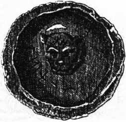 Загадки казацких характерников - i_395.jpg