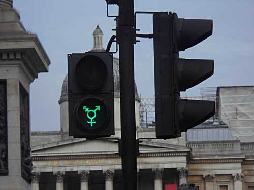 Трени-ян (с иллюстрациями) (СИ) - i_043.jpg