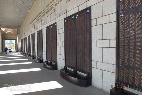 Трени-ян (с иллюстрациями) (СИ) - i_045.jpg