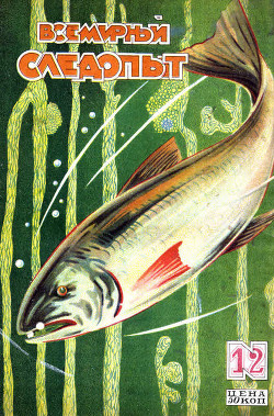 Книга Всемирный следопыт, 1928 № 12