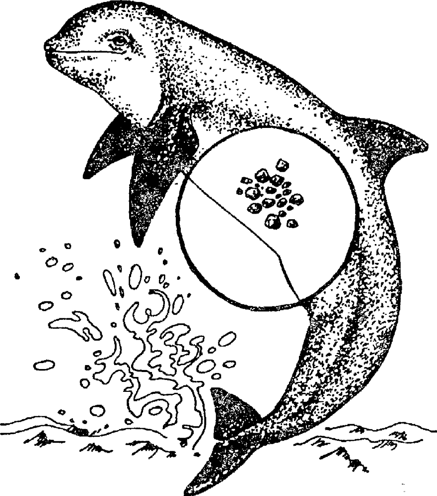 Я познаю мир. Драгоценные камни и минералы - image48.png