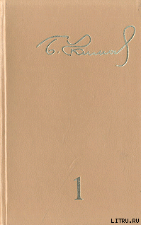 Книга Короткое время бородатых