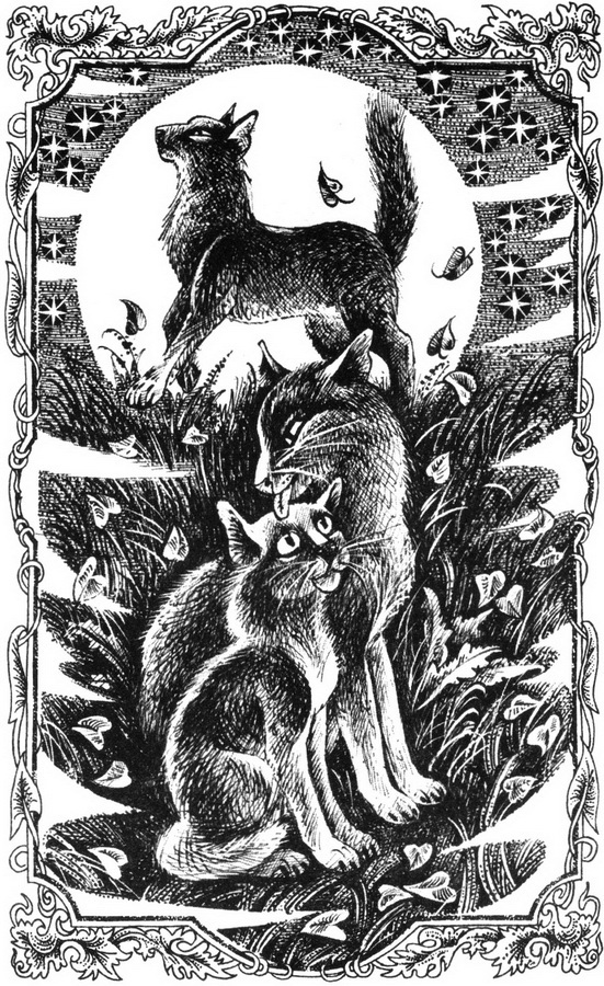 Юность Грома - pic_1.jpg