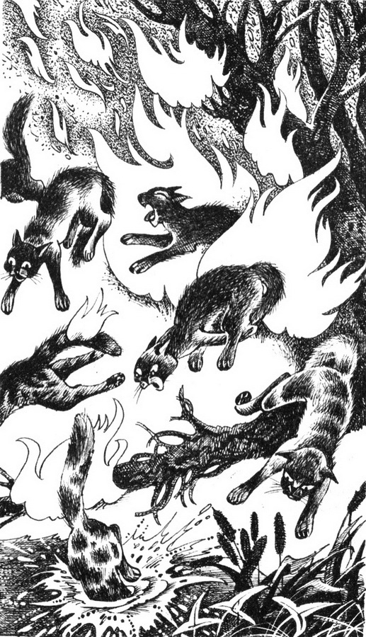 Юность Грома - pic_3.jpg