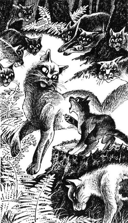 Юность Грома - pic_6.jpg