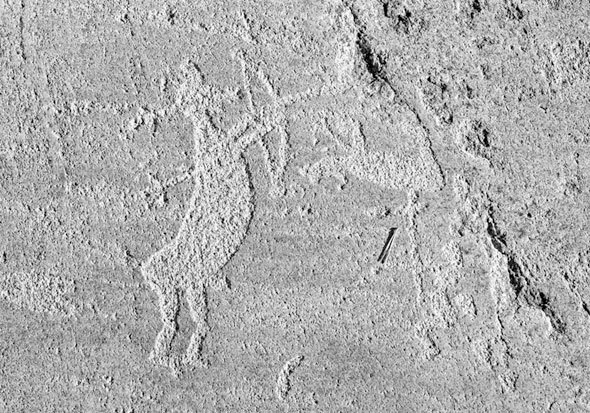 Великие охотники и рыболовы - i_005.jpg