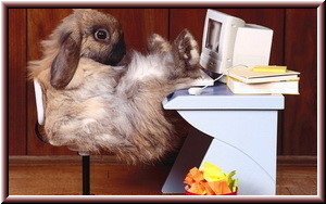 Книга FB2 своими руками. Самоучитель для занятых (СИ) - i_089.jpg