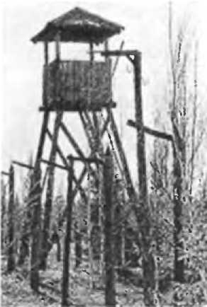 Коротков - i_045.jpg