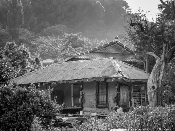 Айгу! Они не едят личинок шелкопряда! - _3.jpg