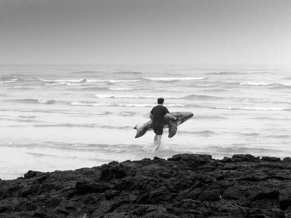 Айгу! Они не едят личинок шелкопряда! - _4.jpg