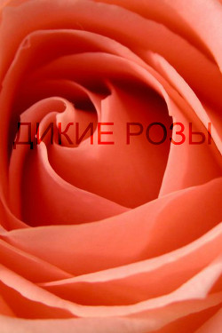 Книга Дикие розы (СИ)