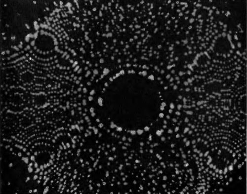 Наука и удивительное<br />(Как человек понимает природу) - i_025.jpg