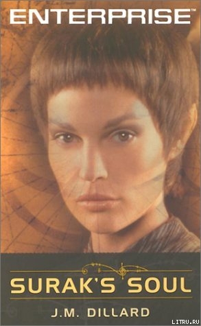 Читать онлайн книгу Душа Сурака автор Диллард Майкл Дж. Книга Душа Сурака