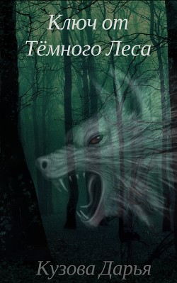 Читать онлайн книгу Ключ от Тёмного Леса. Незваные гости (СИ) автор Книга Ключ от Тёмного Леса. Незваные гости (СИ)