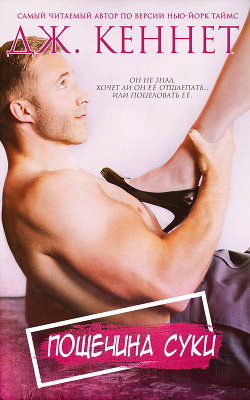 Читать онлайн книгу Пощечина с..ки автор Кеннет Дж. Книга Пощечина с..ки