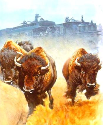 Индейцы - i_041.jpg