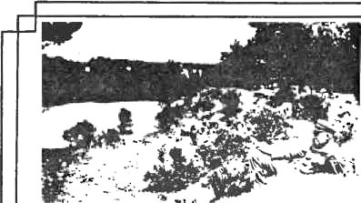 Пилсудский<br />(Легенды и факты) - i_008.jpg