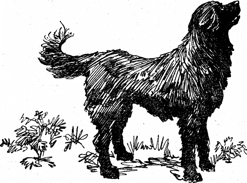 Мальчик у моря - i_033.png