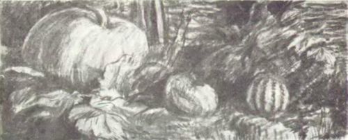 Моряк<br />(Рассказы) - i_030.jpg