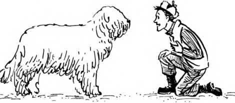 Мысли для облаков<br />(Сказочная повесть) - i_035.jpg