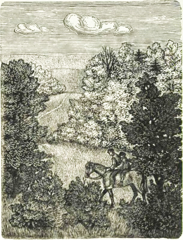 Федька<br />(Повесть) - i_008.jpg