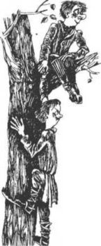 Сказки Орловской губернии<br />(Из собрания сказок Иосифа Федоровича Каллиникова) - i_058.jpg