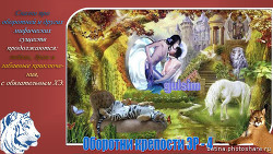 Книга Оборотни крепости ЭР - 4 (СИ)