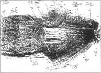 Тайны боевых искусств Украины - i_135.jpg