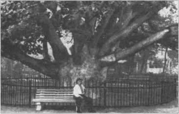 Тайны боевых искусств Украины - i_245.jpg