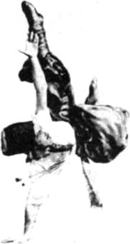 Тайны боевых искусств Украины - i_274.jpg